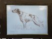 Cane da caccia "Setter "